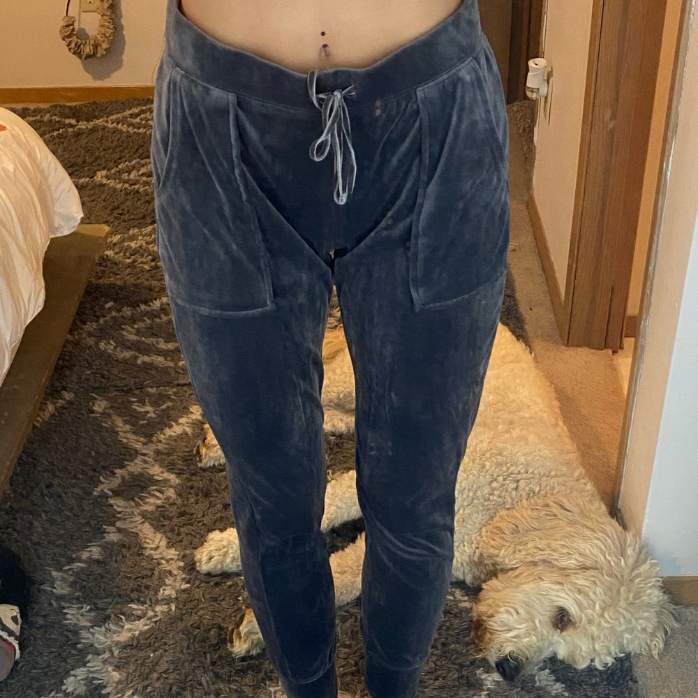Velvet deep purple leggings